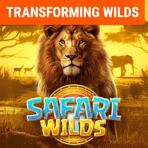 safari wilds